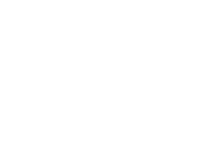 Evoplay logo