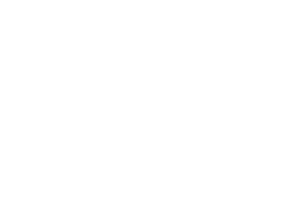 Evoplay logo
